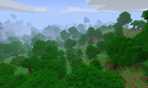 forest_les_minecrft_cz