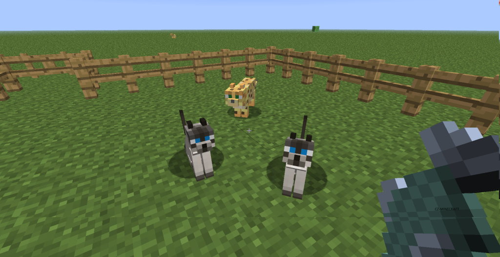 Ocelot_kocka_Katze_cat_minecraft_cz_jak_ochocit_kocku_2