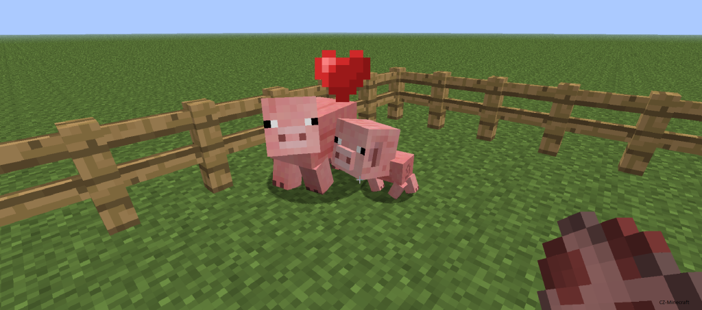 prase_cz_minecraft_jak_ochocit_kone_pig